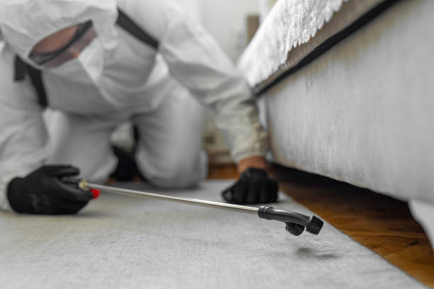 Professional Termite Control technician working in Lamesa, TX