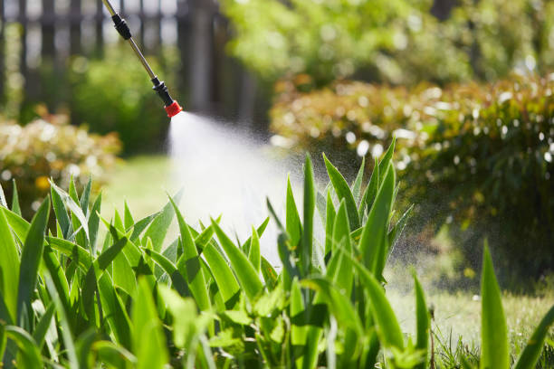 24/7 Emergency Termite Control experts in Lamesa, TX