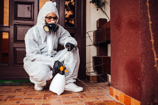 Reliable Termite Control contractor in Lamesa, TX by Nex Pest Control
